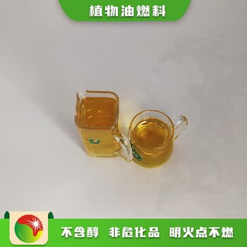 浙江金华义乌市电子鸿泰莱植物油燃料