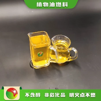 廣東廣州荔灣環(huán)保植物油燃料包教包會