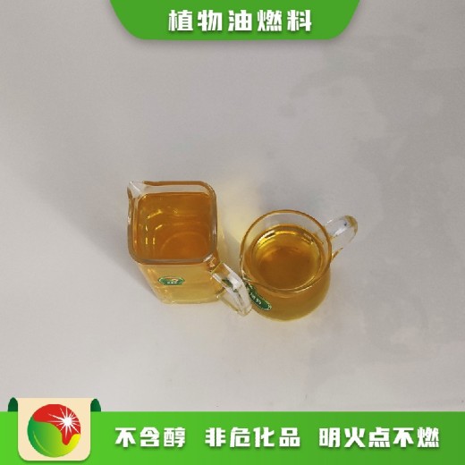 山东泰安宁阳县第六代植物油燃料
