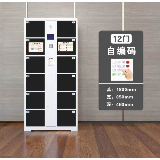 电子存储柜尺寸超市指纹识别存物柜
