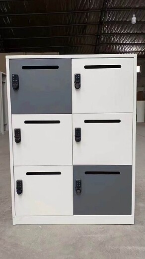 電子存儲柜價格及圖片出售超市指紋識別存物柜尺寸