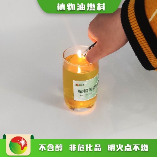 广西河池凤山县电子鸿泰莱植物油燃料
