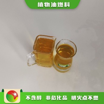 广西桂林资源县第六代植物油燃料产品维修