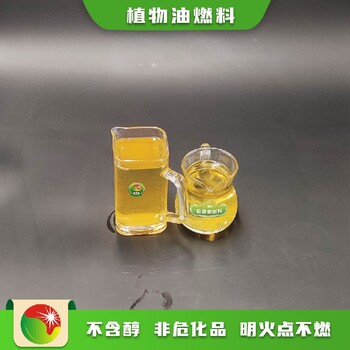 山东滨州滨城区制作鸿泰莱专用植物油燃料