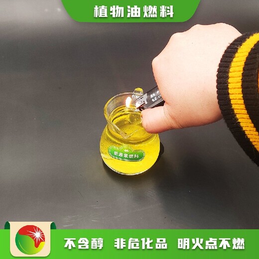 廣西桂林七星區全新合成植物油多功能