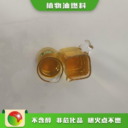 工业第六代植物油燃料技能培训