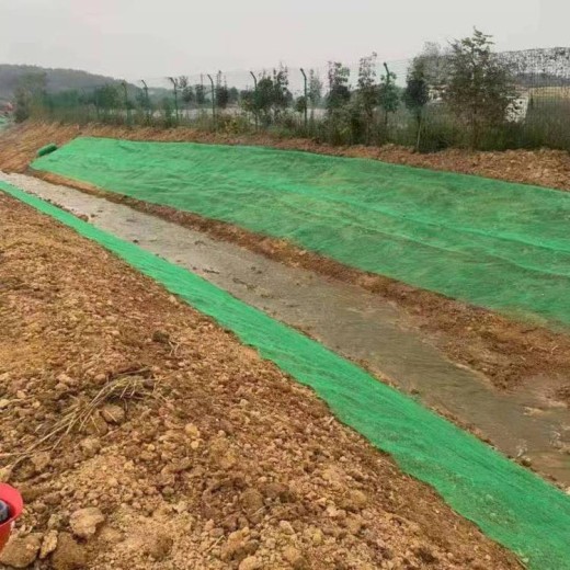 滁州绿化三维植被网厂家施工指导-润杰-三维网加筋防护