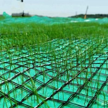 盐城喷播三维植被网每平米价格-润杰-喷播植草护坡麦克垫