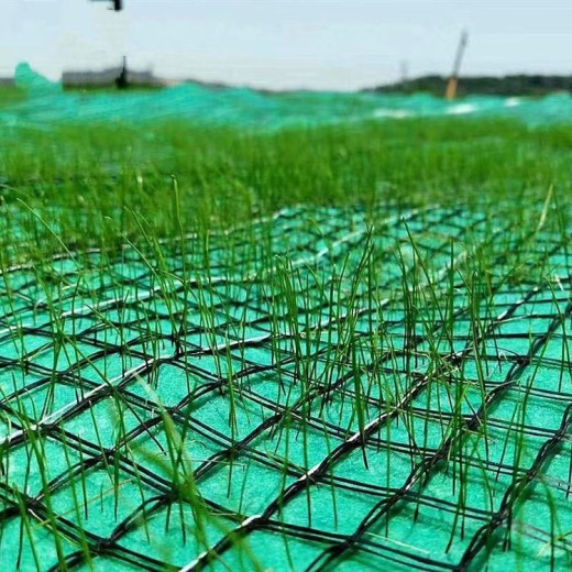 连云港三维网植草护坡每平米价格-润杰-EM5三维土工网垫