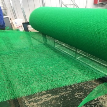贵港绿化三维植被网每平米价格-润杰-EM5三维土工网垫
