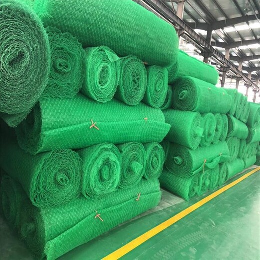 呼和浩特復(fù)合波形排水墊在哪能買到-潤杰-三層邊坡土工網(wǎng)墊