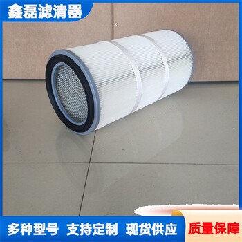 除塵過濾器工業鋼軌打磨車除塵器濾筒材質