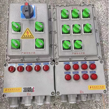帶觀察窗防爆配電箱電話?？赒235碳鋼防爆配電箱