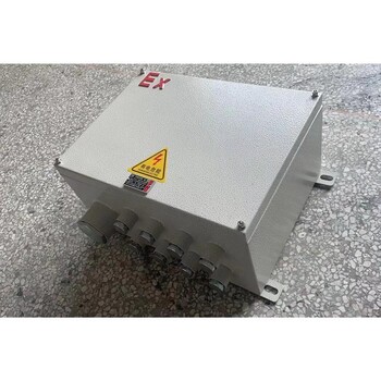 隔爆型防爆分線箱鄭州20A防爆30對端子BJX-20/30電話