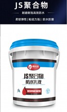 JS柔性复合纯乳液防水涂料固化型水泥浆料生产批发