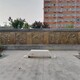 定制圖