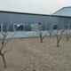 出售彩鋼房蓋廠圖