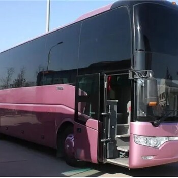 泉州至東莞票價多少大巴車班次