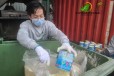 海南塑胶食品奶粉饮料香港销毁处理