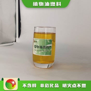 陕西华阴市电子液蜡燃料升级版品牌优势