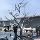 金越雕塑圖