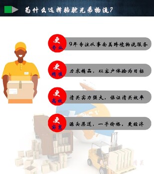 浙江優(yōu)質(zhì)國(guó)際貨代巴西雙清包稅專線駱駝兄弟物流物流專線巴西
