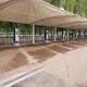 單邊膜結構造型汽車車棚圖