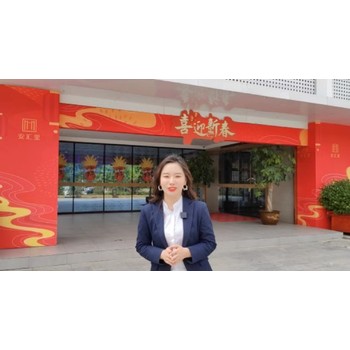 雄安房產首付,雄安新區樓盤介紹