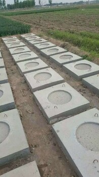 邢臺10米水泥電線桿廠家