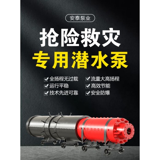 惠州生产BQ强排泵生产厂家
