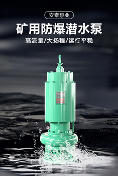 廈門出售BQG礦用氣動隔膜泵生產(chǎn)廠家