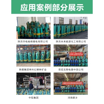 南京供应BQS潜水泵联系方式