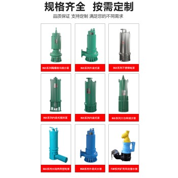 重庆供应BQ强排泵制造厂家
