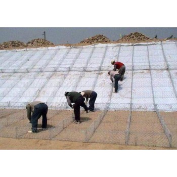 镀锌格宾石笼网生产厂家-广东生产格宾网生产基地