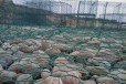 湖南生产格宾石笼网报价及图片-格宾石笼网生产商