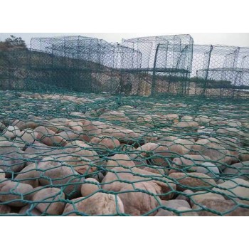 湖南生产格宾网报价及图片-镀锌格宾石笼网生产厂家
