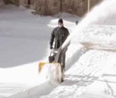 小型进口抛雪机,一年质保常年配件图片