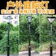 3米庭院燈圖