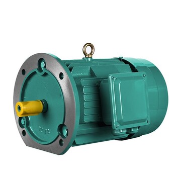 長(zhǎng)風(fēng)三相異步電動(dòng)機(jī)隔熱隧道電機(jī)電機(jī)調(diào)速可定制耐高溫長(zhǎng)軸電機(jī)
