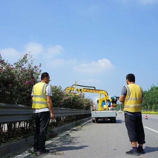 乐山高速公路中分带修剪机