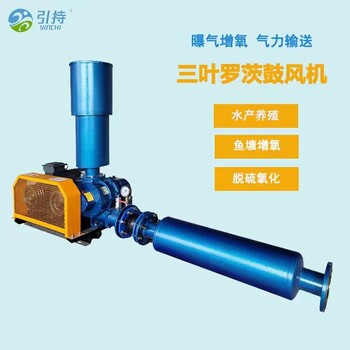 樂(lè)馳/LOCE氣力輸送羅茨鼓風(fēng)機(jī)廠家