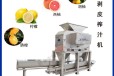 带式压榨机果汁加工设备生产浓缩果汁设备