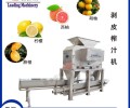 工业榨汁机全自动鲜榨果汁设备果汁饮料加工设备