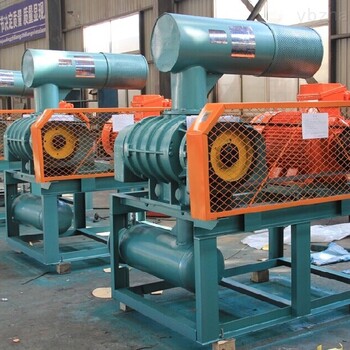 銷售電廠用輸灰羅茨風(fēng)機(jī)