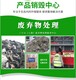 殘次服裝銷(xiāo)毀圖