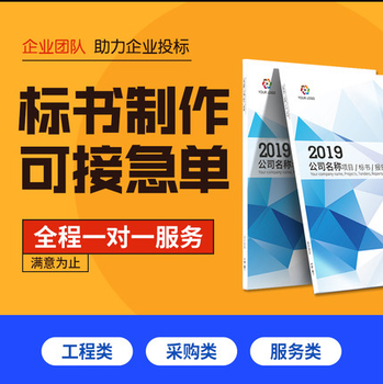 代做電子標(biāo)書(shū)專業(yè)性指導(dǎo)域創(chuàng)金標(biāo)