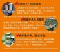 佛山收購二手鍍鉻電鍍生產(chǎn)線、塑膠電鍍線過濾機大量收購