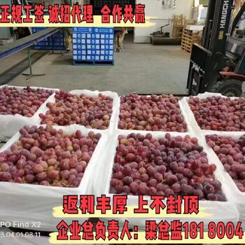 澳大利亞出國勞務條件稅后保底3萬