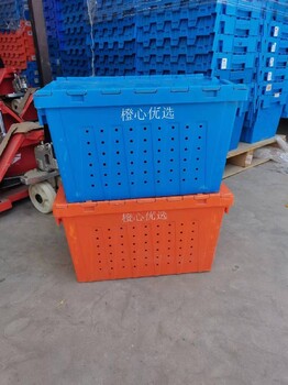 湖南二手塑料折疊框回收報價