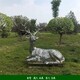 定制圖